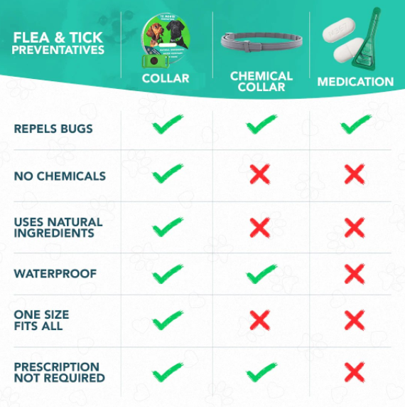 ⏰Buy 1, Get 1 FREE Today — Year-Round Flea & Tick Protection Made Simple🐕