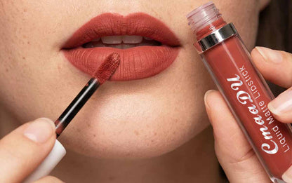 10-Piece Matte Waterproof Lip Gloss Set – Bold Color, All-Day Stay