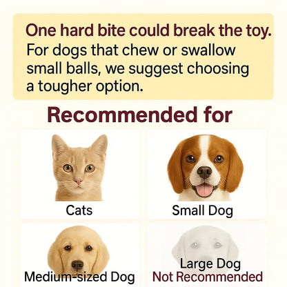⏰Buy 1, Get 1 FREE Today-Interactive Cat & Dog Teaser Toy with Tails