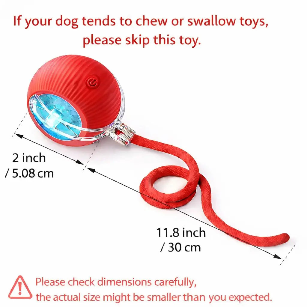 ⏰Buy 1, Get 1 FREE Today-Interactive Cat & Dog Teaser Toy with Tails
