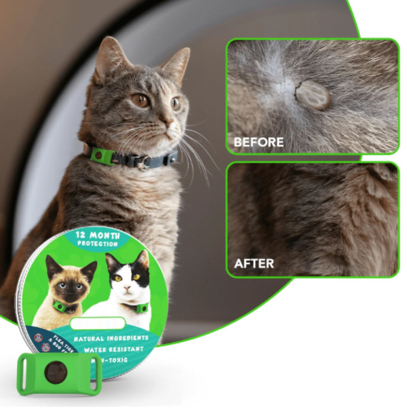 ⏰Buy 1, Get 1 FREE Today — Year-Round Flea & Tick Protection Made Simple🐕