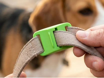 ⏰Buy 1, Get 1 FREE Today — Year-Round Flea & Tick Protection Made Simple🐕