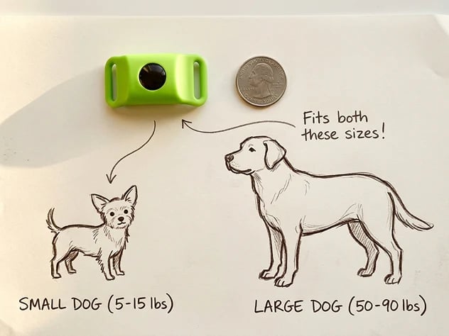 ⏰Buy 1, Get 1 FREE Today — Year-Round Flea & Tick Protection Made Simple🐕