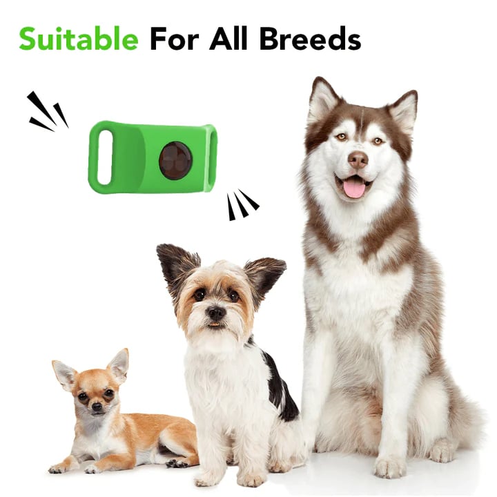 ⏰Buy 1, Get 1 FREE Today — Year-Round Flea & Tick Protection Made Simple🐕
