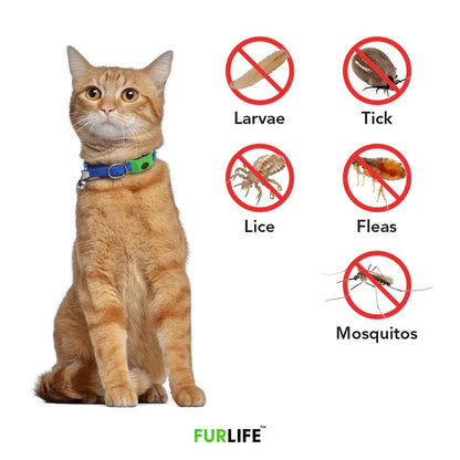 ⏰Buy 1, Get 1 FREE Today — Year-Round Flea & Tick Protection Made Simple🐕