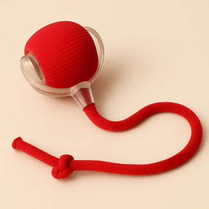 ⏰Buy 1, Get 1 FREE Today-Interactive Cat & Dog Teaser Toy with Tails
