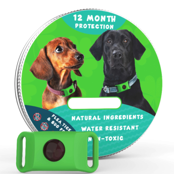 ⏰Buy 1, Get 1 FREE Today — Year-Round Flea & Tick Protection Made Simple🐕