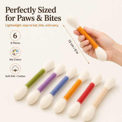 A Monthly Happiness Kit for Your Cat